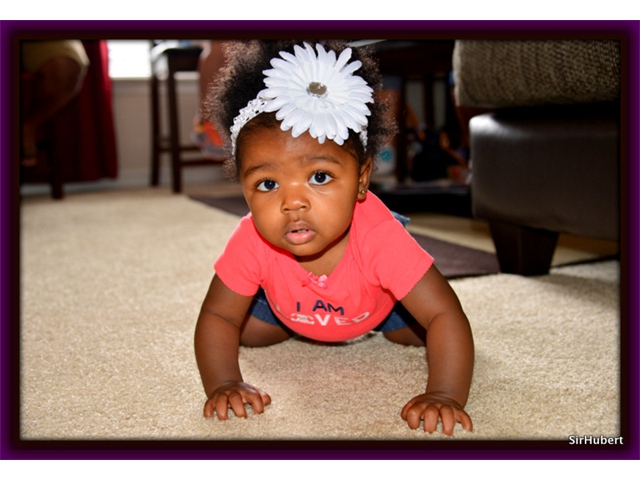 4-DSC_0319 4-DSC_0319